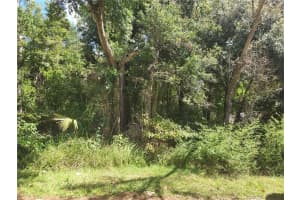 SILVER SPRING SHORES, OCALA, FL 34470 - MLS#MFRO6349688