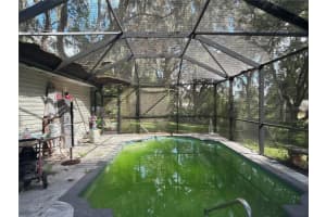 11891 LAKEWOOD DRIVE, HUDSON, FL 34669 - MLS#MFRO6349723