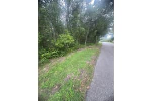 6117 CORNELIA AVENUE, ORLANDO, FL 32807 - MLS#MFRO6349732