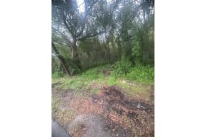 6117 CORNELIA AVENUE, ORLANDO, FL 32807 - MLS#MFRO6349732