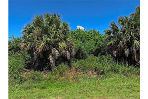 HILLSBOROUGH BLVD, NORTH PORT, FL 34288 - MLS#MFRO6349786