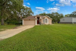 4435 LEMON STREET, LADY LAKE, FL 32159 - MLS#MFRO6349931