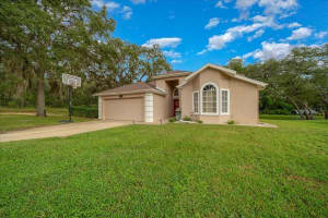 4435 LEMON STREET, LADY LAKE, FL 32159 - MLS#MFRO6349931