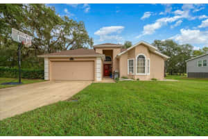 4435 LEMON STREET, LADY LAKE, FL 32159 - MLS#MFRO6349931