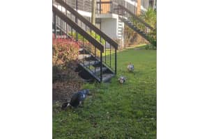 4400 CASTLEPALM ROAD, ORLANDO, FL 32839 - MLS#MFRO6349971