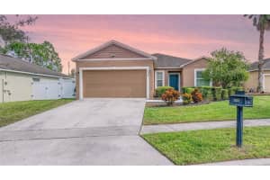 3029 PATTERSON GROVES DRIVE, HAINES CITY, FL 33844 - MLS#MFRO6350109