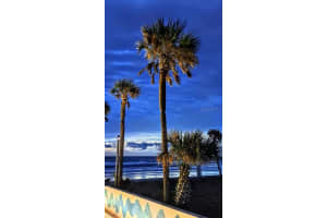 313 ATLANTIC AVENUE, DAYTONA BEACH, FL 32118 - MLS#MFRO6350137