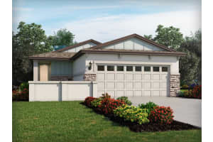 619 Pennywort St, LAKE ALFRED