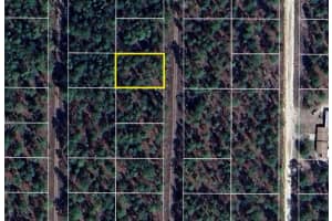 158TH AVE, OCALA, FL 34481 Sold 11/03/25
