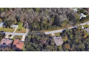10 ZEPHYR LILY TRAIL, PALM COAST, FL 32164 - MLS#MFRO6350365