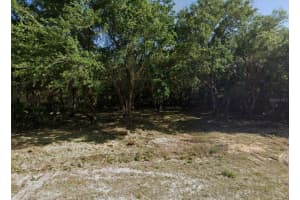 18350 GYPSY AVENUE, PORT CHARLOTTE, FL 33954 - MLS#MFRO6350431