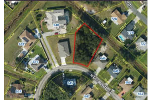 N DELMONTE CT, KISSIMMEE, FL 34758 - MLS#MFRO6350434