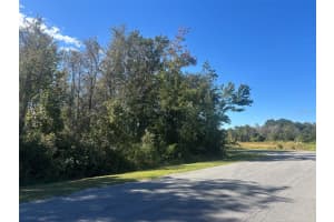 NEWBURG ST, ORLANDO, FL 32833 - MLS#MFRO6350490