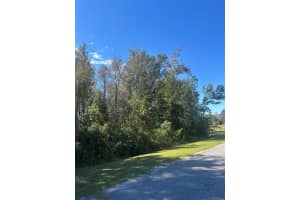 NEWBURG ST, ORLANDO, FL 32833 - MLS#MFRO6350490