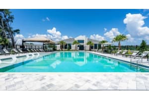 18772 GRAND LIVE OAK BOULEVARD, LAND O LAKES, FL 34638 - MLS#MFRO6350562