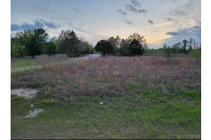 702 E. SEQUOIA PL. FLT, CITRUS SPRINGS, FL 34434 - MLS#MFRO6350608