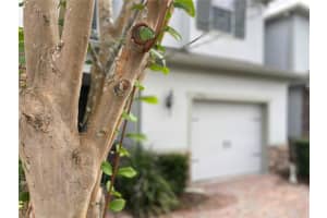 7481 ALOMA PINES COURT, WINTER PARK, FL 32792 - MLS#MFRO6350640