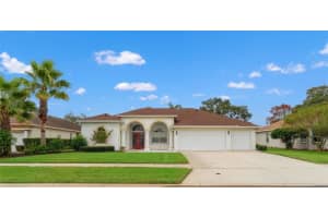 441 RIO VISTA COURT, SPRING HILL, FL 34608 - MLS#MFRO6350674