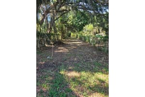 PRIVATE DR, TAVARES, FL 32778 - MLS#MFRO6350693