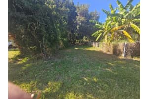 PRIVATE DR, TAVARES, FL 32778 - MLS#MFRO6350693