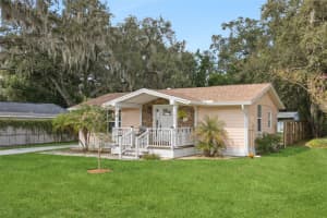 1011 LIBERTY AVENUE, MOUNT DORA, FL 32757 - MLS#MFRO6350859