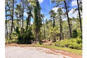 CHINABERRY WAY, EUSTIS, FL 32736 - MLS#MFRO6350936