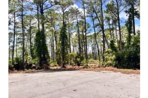 CHINABERRY WAY, EUSTIS, FL 32736 - MLS#MFRO6350936