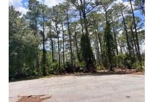 CHINABERRY WAY, EUSTIS, FL 32736 - MLS#MFRO6350936