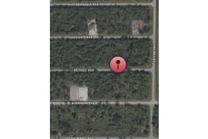 14233 BETHEL AVENUE, PORT CHARLOTTE, FL 33953 - MLS#MFRO6350972
