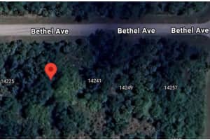 14233 BETHEL AVENUE, PORT CHARLOTTE, FL 33953 - MLS#MFRO6350972