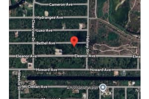 14233 BETHEL AVENUE, PORT CHARLOTTE, FL 33953 - MLS#MFRO6350972