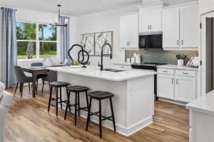460 FREE RANGE DRIVE, GROVELAND, FL 34736 - MLS#MFRO6351017