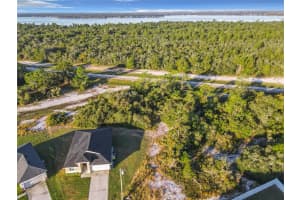 1257 AMAZON LANE, KISSIMMEE, FL 34759 - MLS#MFRO6351125