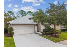 5354 Lookout Pass, WESLEY CHAPEL
