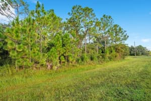 4324 BANCROFT BOULEVARD, ORLANDO, FL 32833 - MLS#MFRO6351200