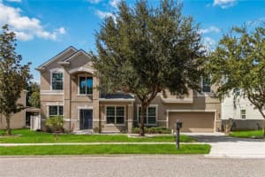 248 Wallrock Ct, OCOEE 248 Wallrock Ct, OCOEE