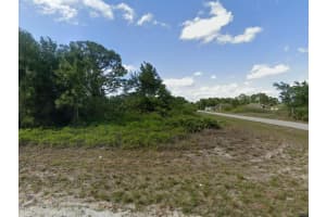 1017 PILGRIM STREET, LEHIGH ACRES, FL 33974 - MLS#MFRO6351305