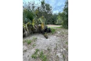 2900 CLEBURNE ROAD, ORLANDO, FL 32817 - MLS#MFRO6351323