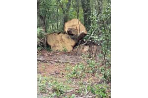 2904 CLEBURNE ROAD, ORLANDO, FL 32817 - MLS#MFRO6351330