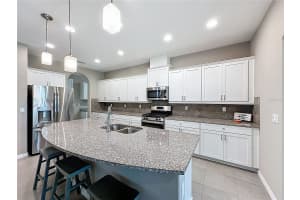 251 SILVER MAPLE ROAD, GROVELAND, FL 34736 - MLS#MFRO6351663