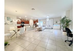 4105 WILD SENNA BOULEVARD, TAMPA, FL 33619 - MLS#MFRO6351753