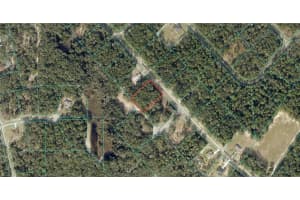 MARION OAKS LN, OCALA, FL 34473 - MLS#MFRO6351758
