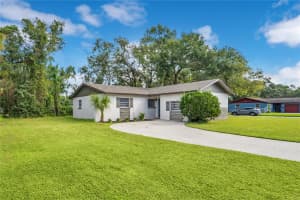 4302 DOLPHIN DRIVE, TAMPA, FL 33617 - MLS#MFRO6351766