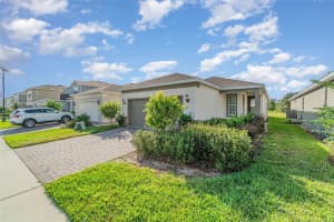 17395 SAW PALMETTO, CLERMONT, FL 34714 - MLS#MFRO6351867