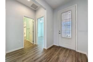 537 NARROW VIEW LANE, GROVELAND, FL 34736 - MLS#MFRO6351909