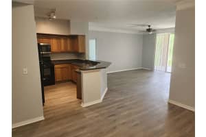 13025 MULBERRY PARK DRIVE, ORLANDO, FL 32821 - MLS#MFRO6352008