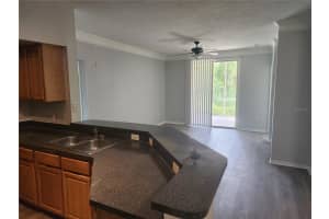 13025 MULBERRY PARK DRIVE, ORLANDO, FL 32821 - MLS#MFRO6352008