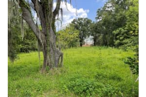 7449 RESTFUL STREET, WINTER PARK, FL 32792 Sold 12/11/25