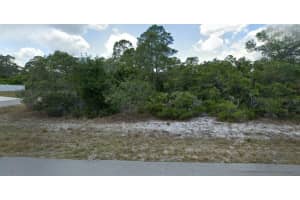 1132 WILDFLOWER STREET, LAKE PLACID, FL 33852 - MLS#MFRO6352178
