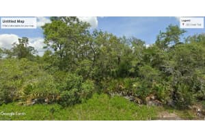 1132 WILDFLOWER STREET, LAKE PLACID, FL 33852 - MLS#MFRO6352178